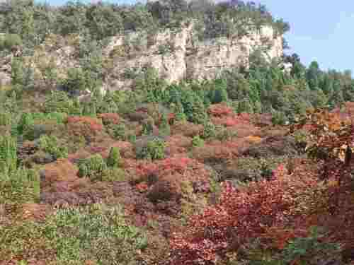 凤凰山风景区