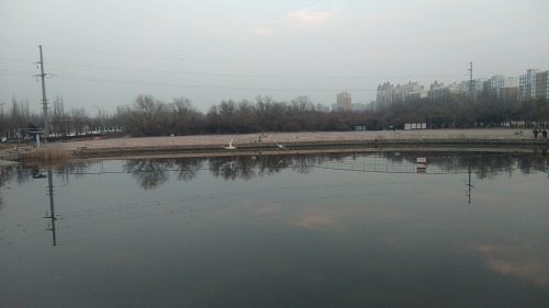 天鹅湖