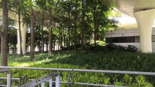 中城绿地公园
