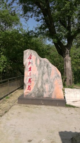 合肥生态鸟岛