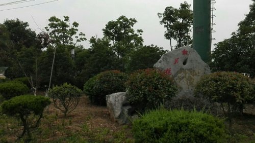 桃花坞水上公园