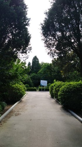 盐城沿海森林公园