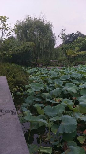 白岩竹溪公园