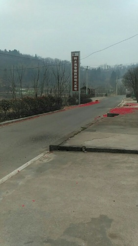关外香椿旅游基地