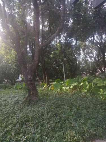 白坭坑社区公园