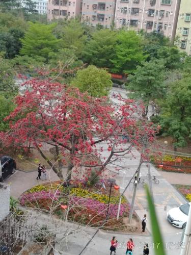 下山门社区公园