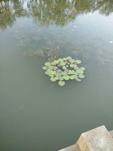 太阳湖