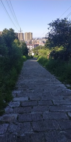 小白山生态公园