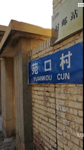 苑口秋涛