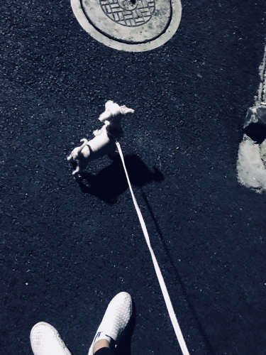 印溪生态湿地公园