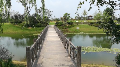 香樟公园