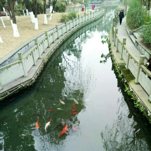 竹溪公园
