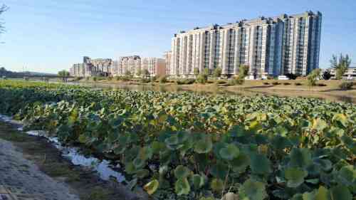 滨河公园