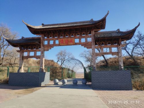 偏脸城