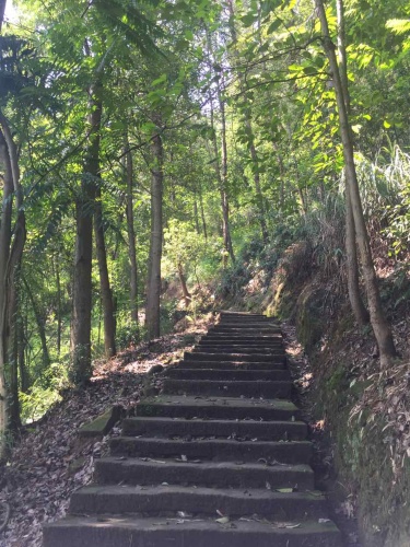 梅岭山森林公园