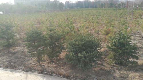 清风公园