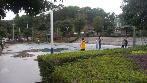 黄背坑公园