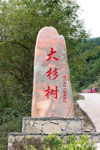 兴山县岩岭大杉树景区