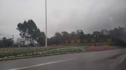 安仁·中国博物馆小镇景区