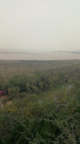 鼎湖芦苇荡风景区