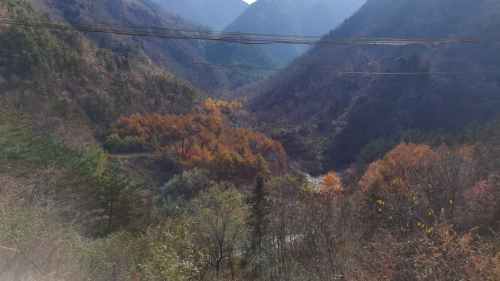 大脚印景点