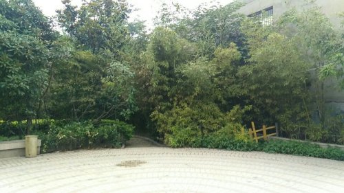 翠竹园