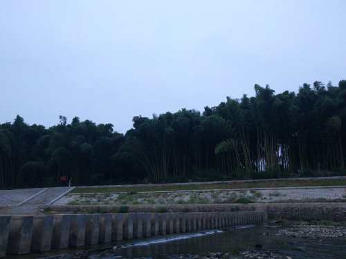 锦江鸳鸯岛