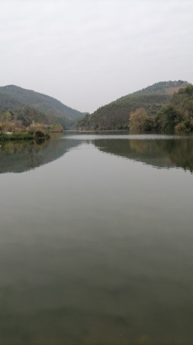 天鹅湖生态园