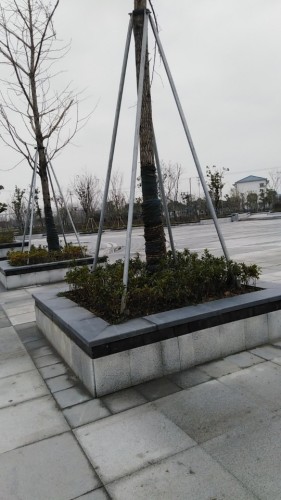 小康公园
