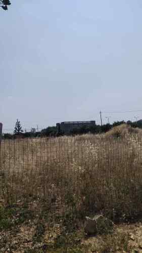圯桥遗址