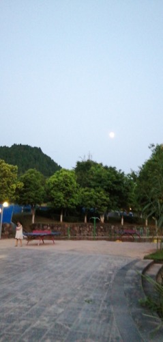 凤舞琼花公园