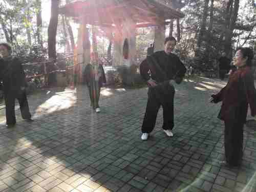 龙山公园