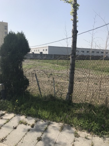 阜宁县西郊植物园