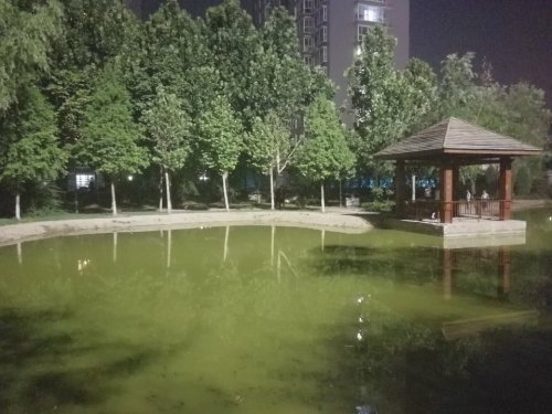 槐阳公园