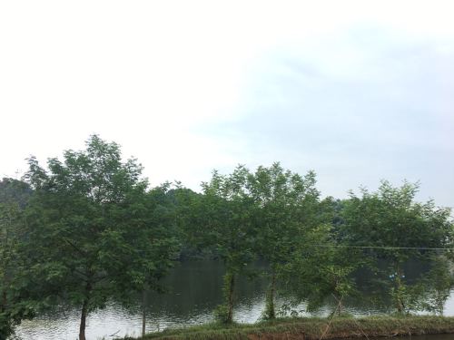 益阳市新桥河镇石门塘水库休闲村