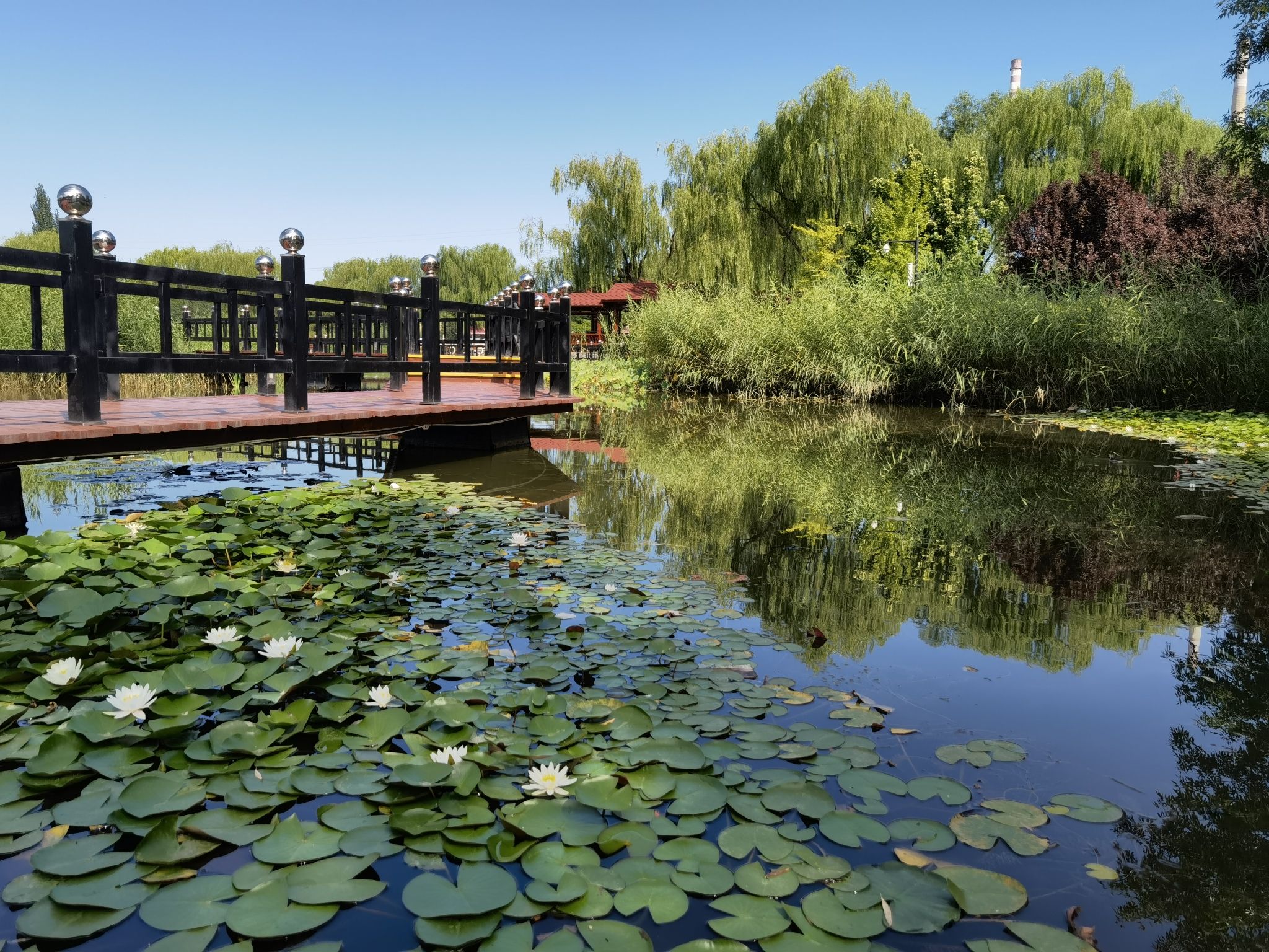 古塔公园旅行图片