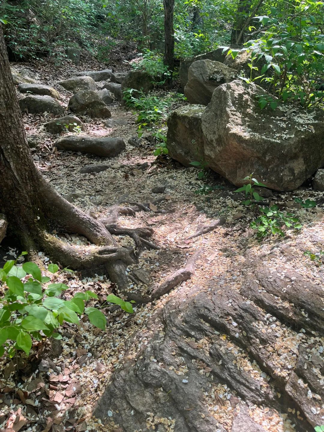 桃源仙谷自然风景区