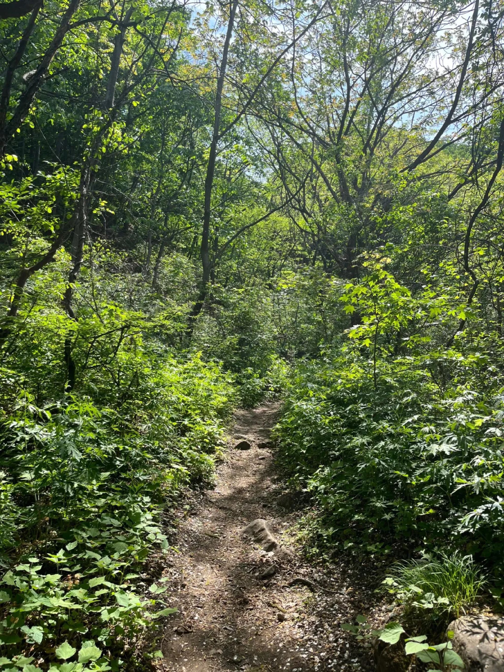 桃源仙谷自然风景区旅行图片