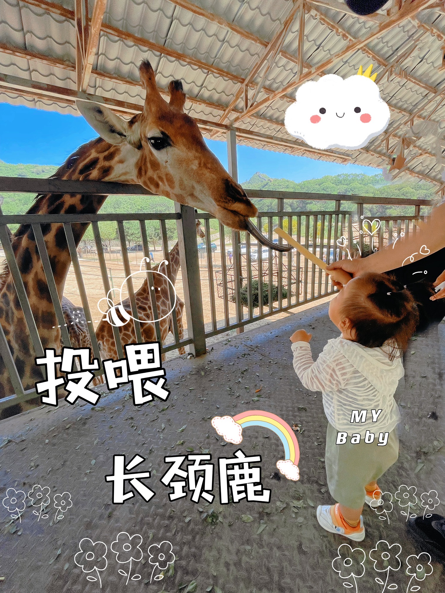 八达岭野生动物世界旅行图片
