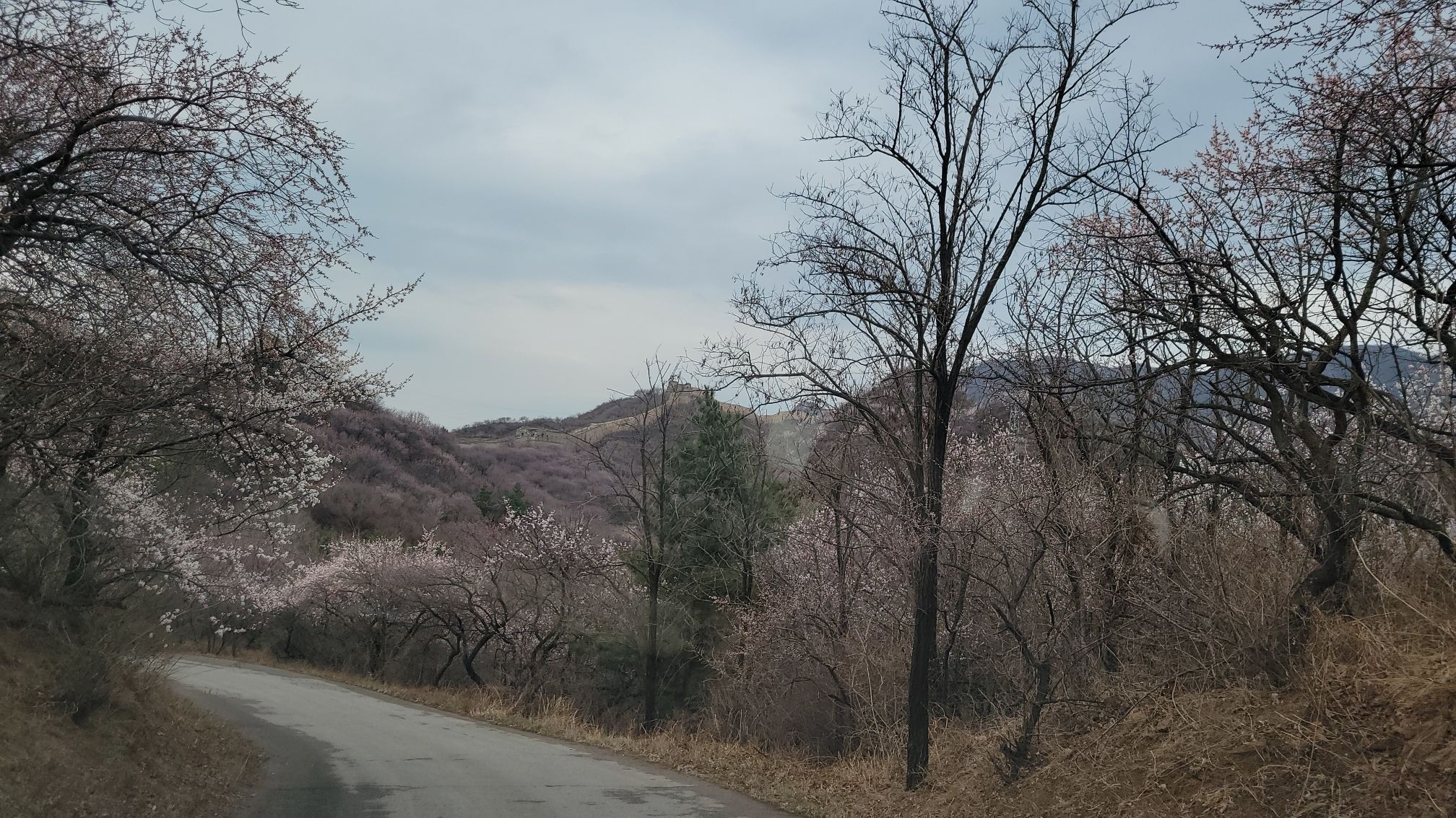 八达岭野生动物世界旅行图片