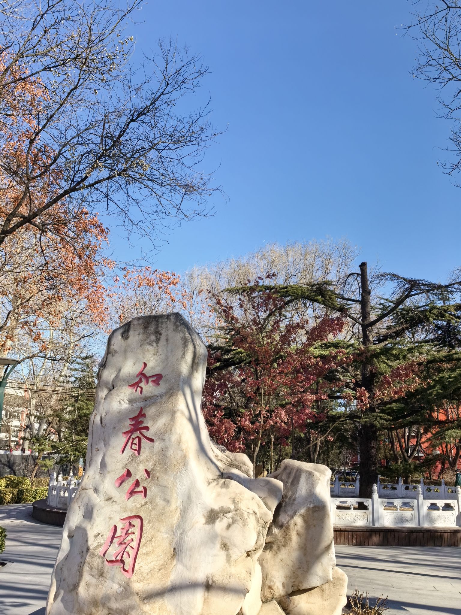 知春公园