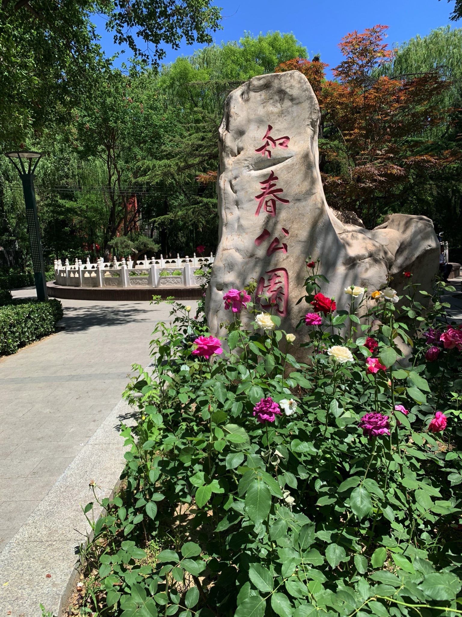 知春公园旅行图片