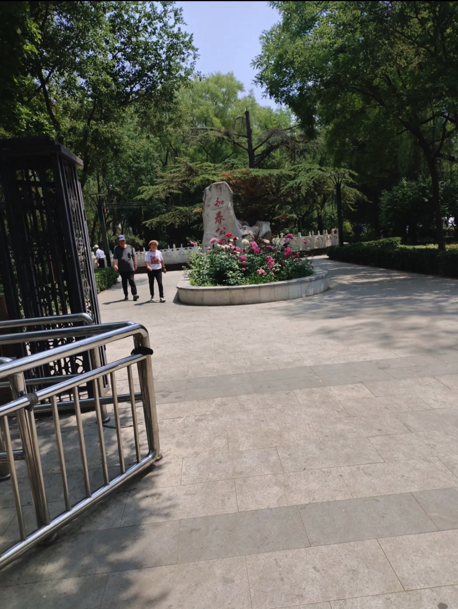 知春公园旅行图片
