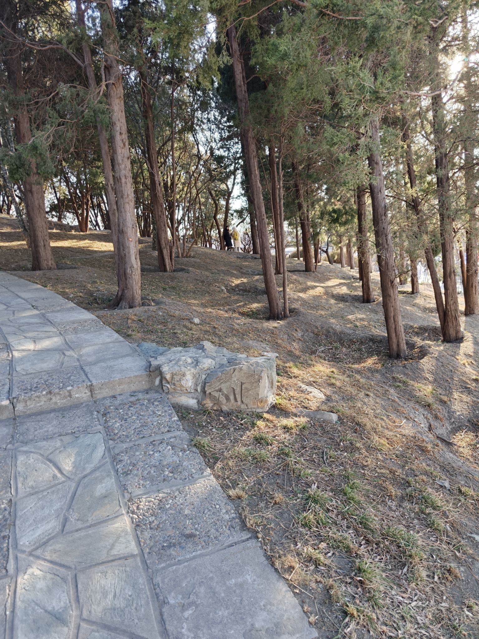 陶然亭公园旅行图片
