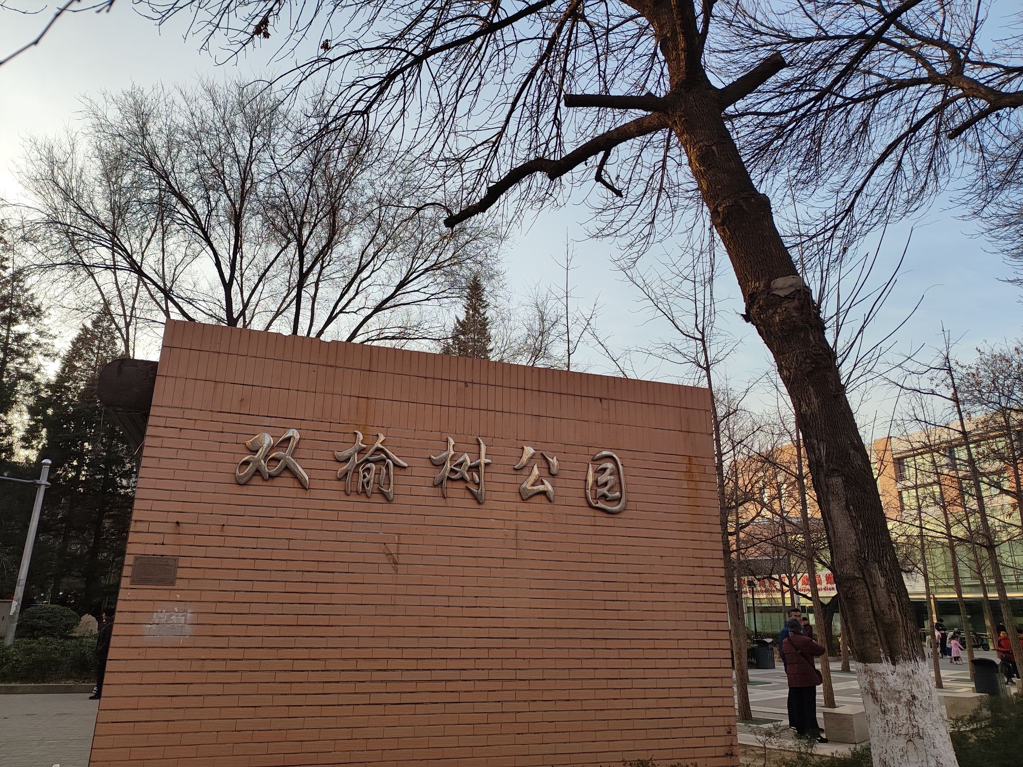 双榆树公园