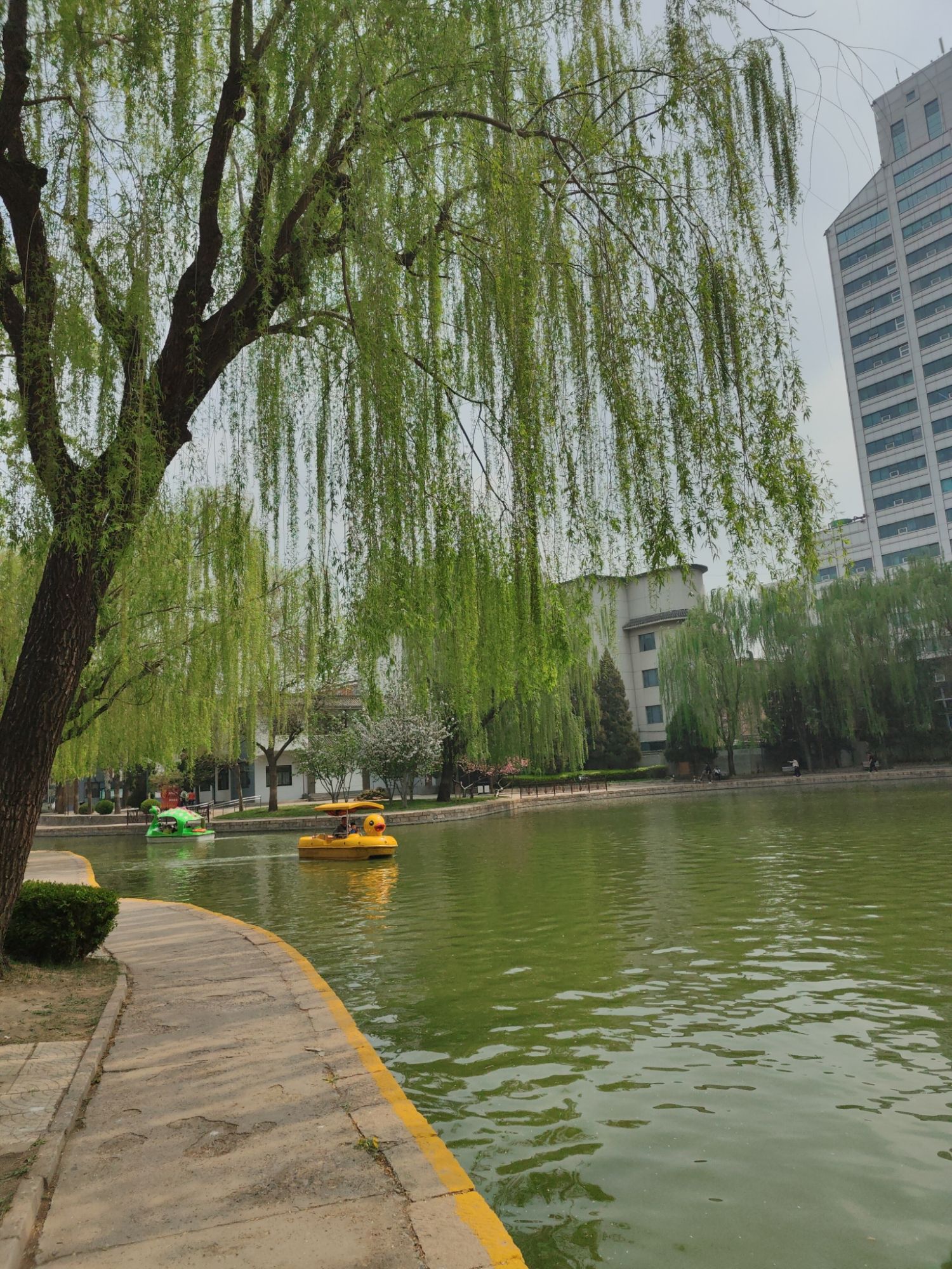 团结湖公园