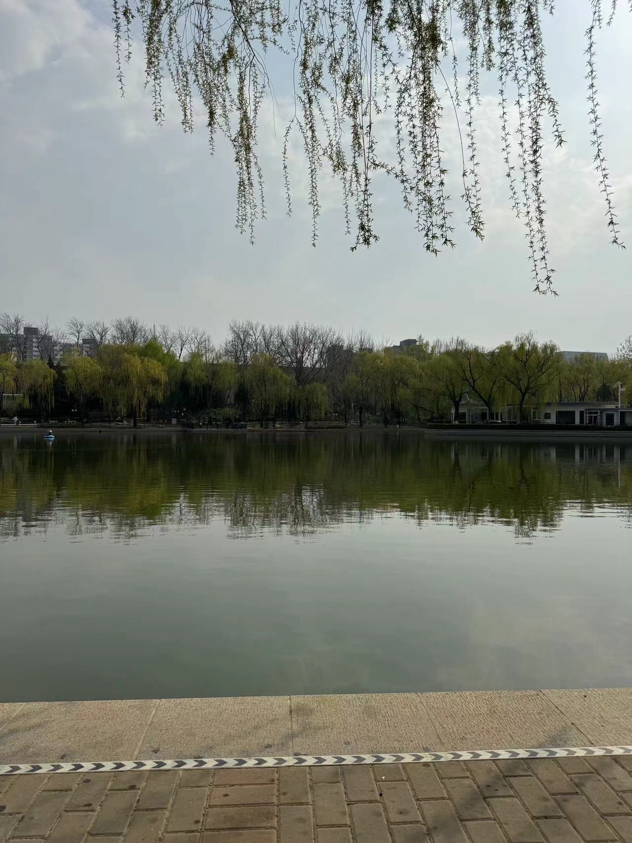 青年湖全龄友好公园