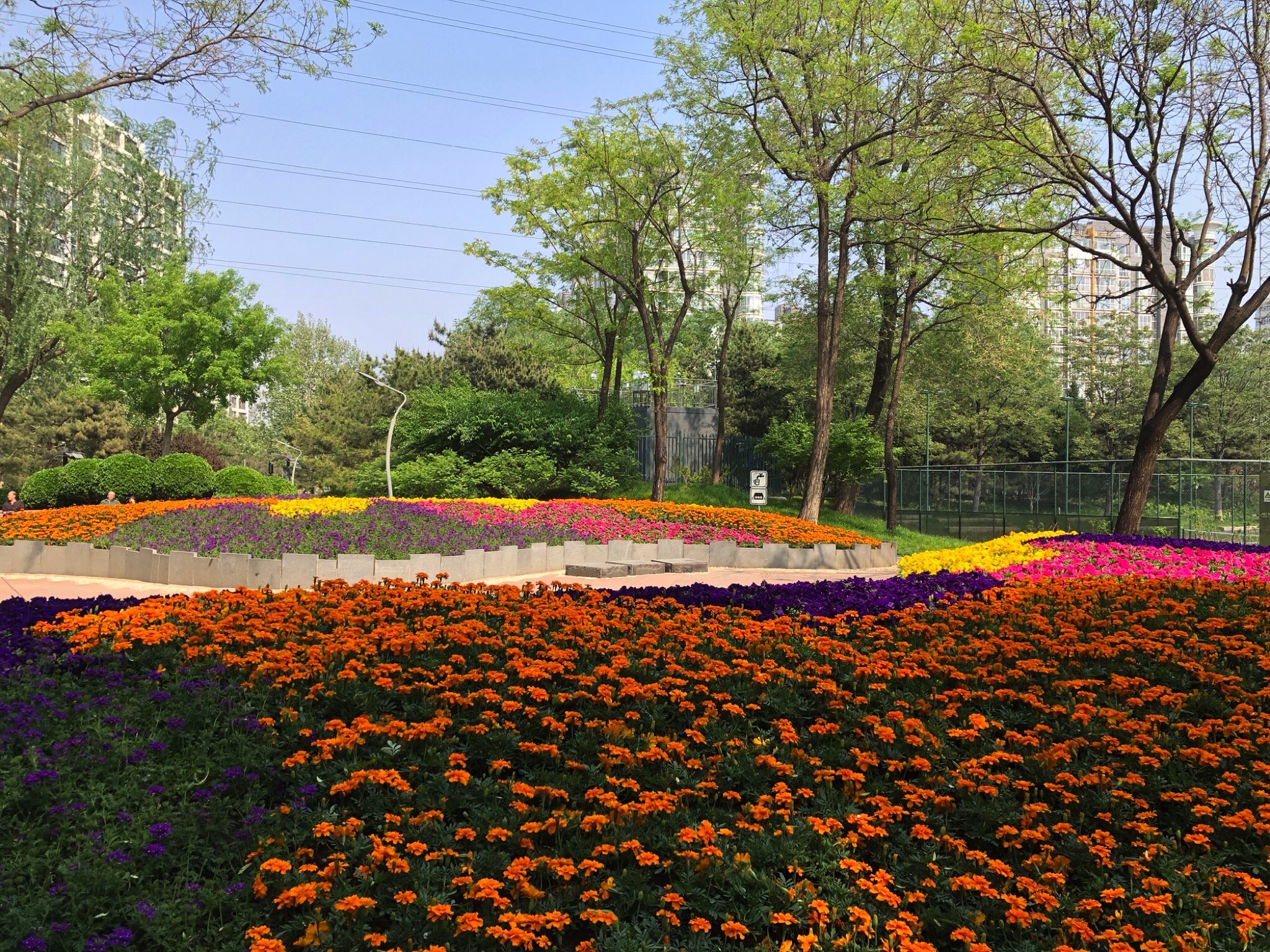 长春健身园旅行图片