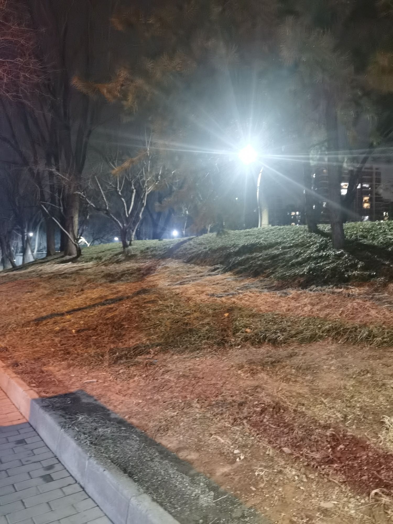 长春健身园旅行图片