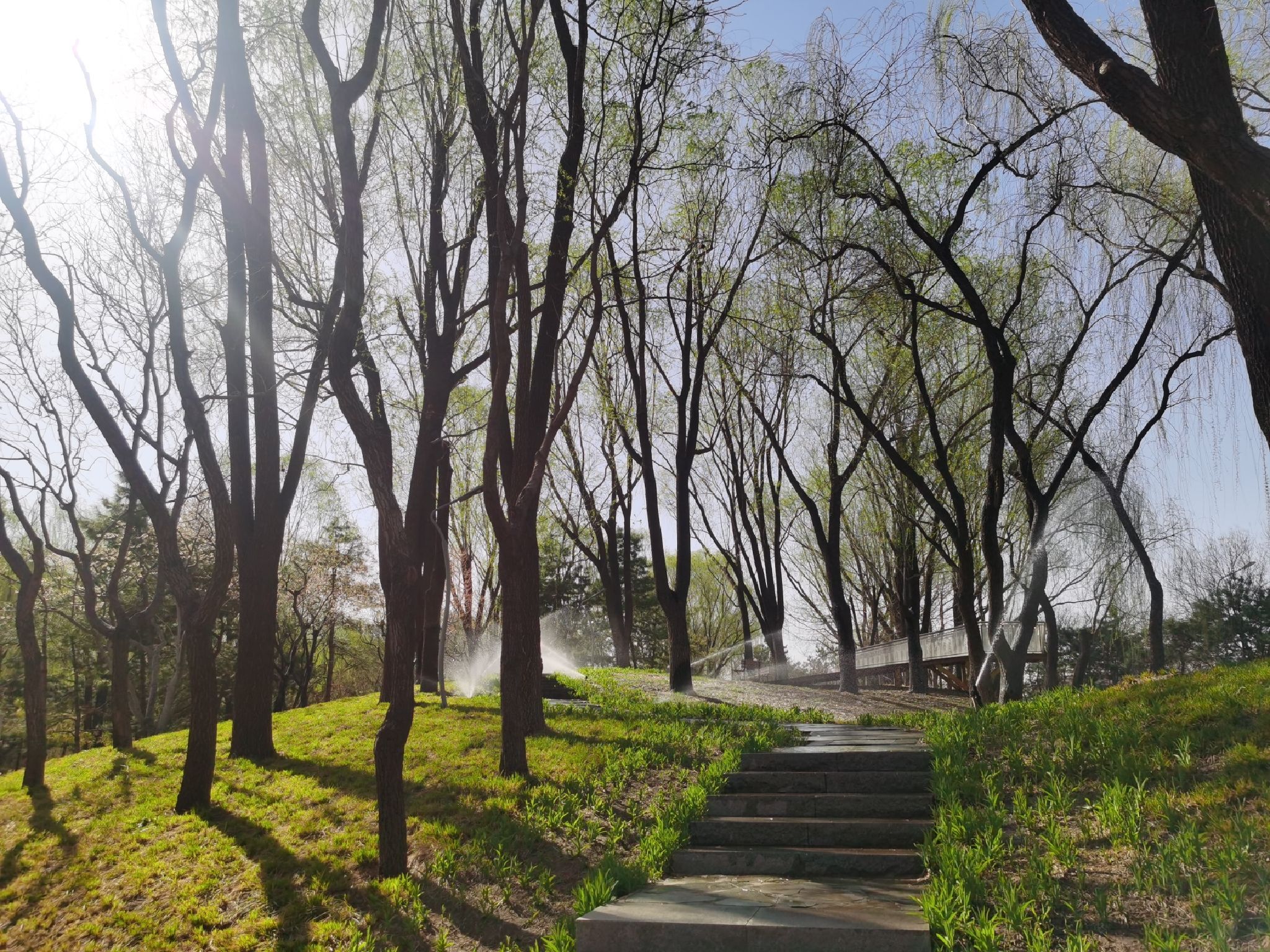 长春健身园旅行图片